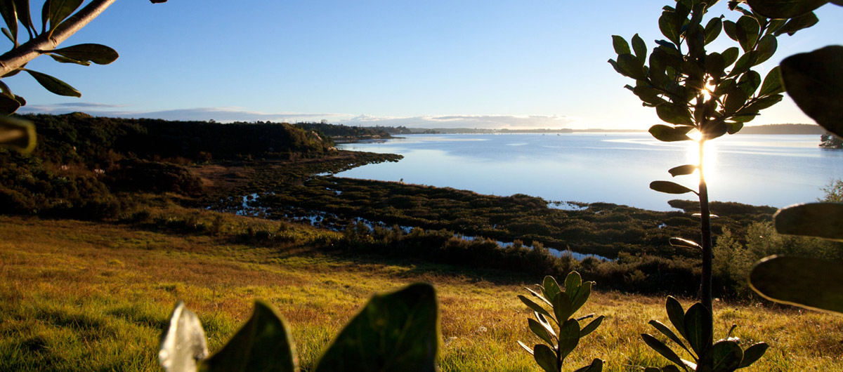 Sections available for sale now at the Bay of Plenty's most desirable freehold lifestyle community village, by Kingdom Group.